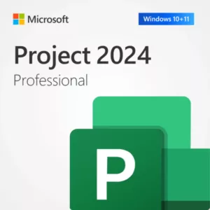 Microsoft Project 2024 Professional Pro