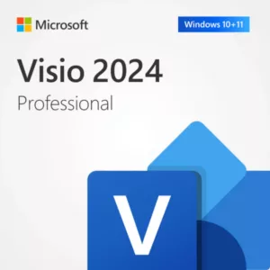 Microsoft Visio 2024 Professional Pro